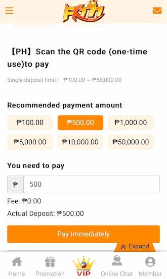 💥Step 2: Select the recommended payment amount. 