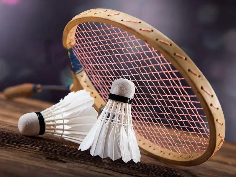 FK777 Badminton Betting Review